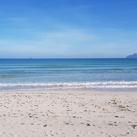 Ideal Property Mallorca - Concha Port de Alcudia  Eksteriør bilde